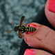 Illustration for article titled Shooting Challenge: Bugs 1